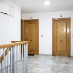 Vicente Id13 * Τορεβιέχα