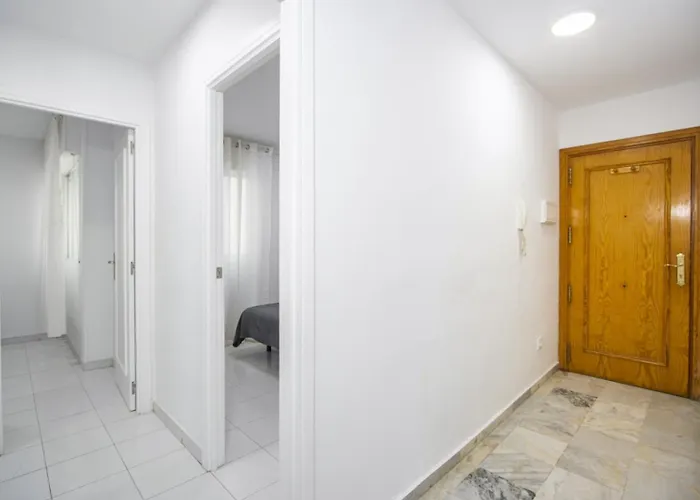 Vicente Id13 Torrevieja